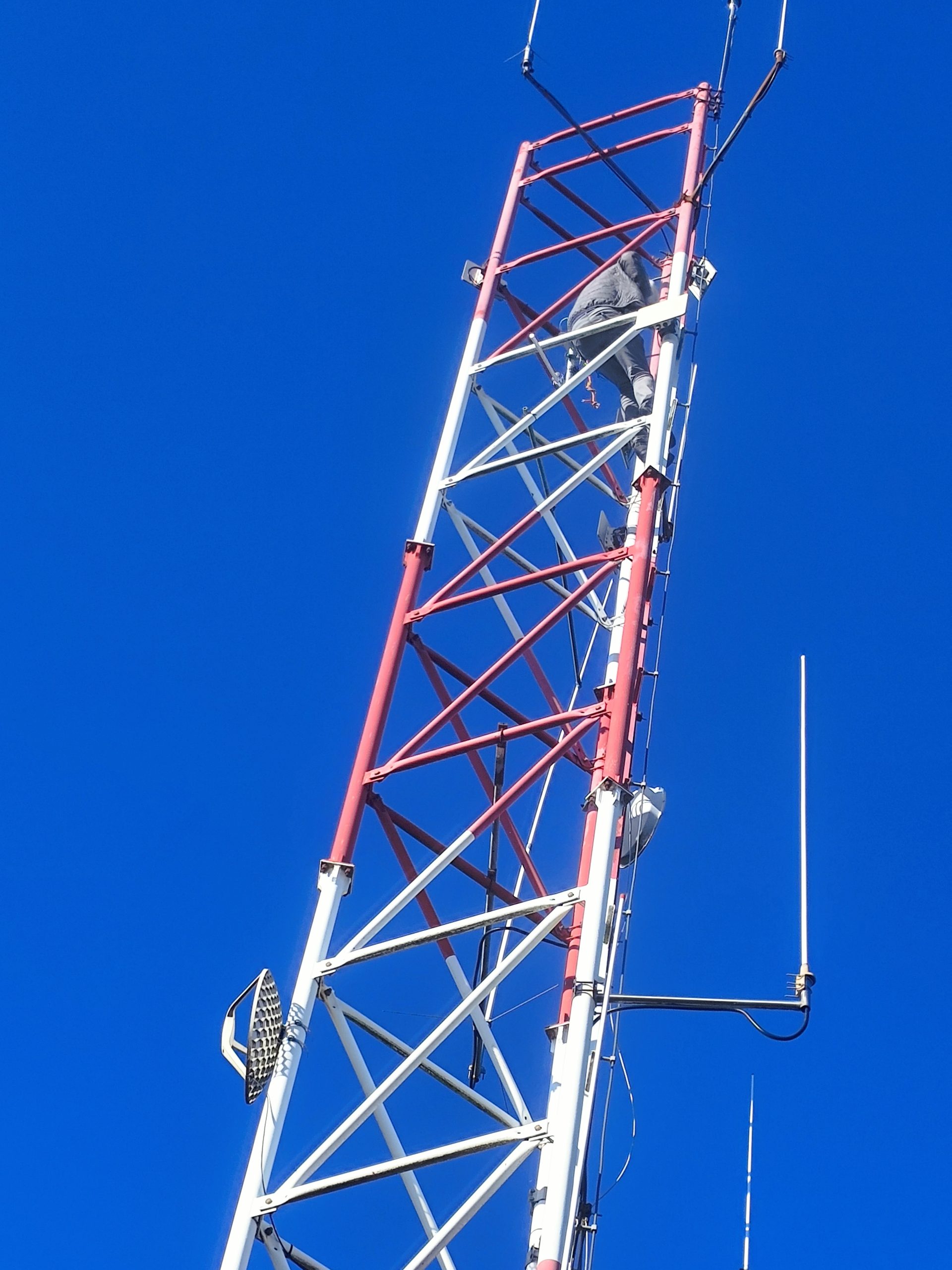 1781036086346